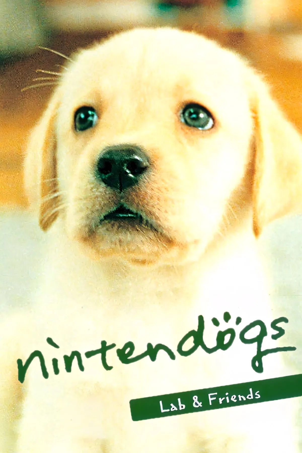 Artwork chính thức của Nintendogs, biểu tượng của dòng game nuôi thú ảo trên Nintendo DS