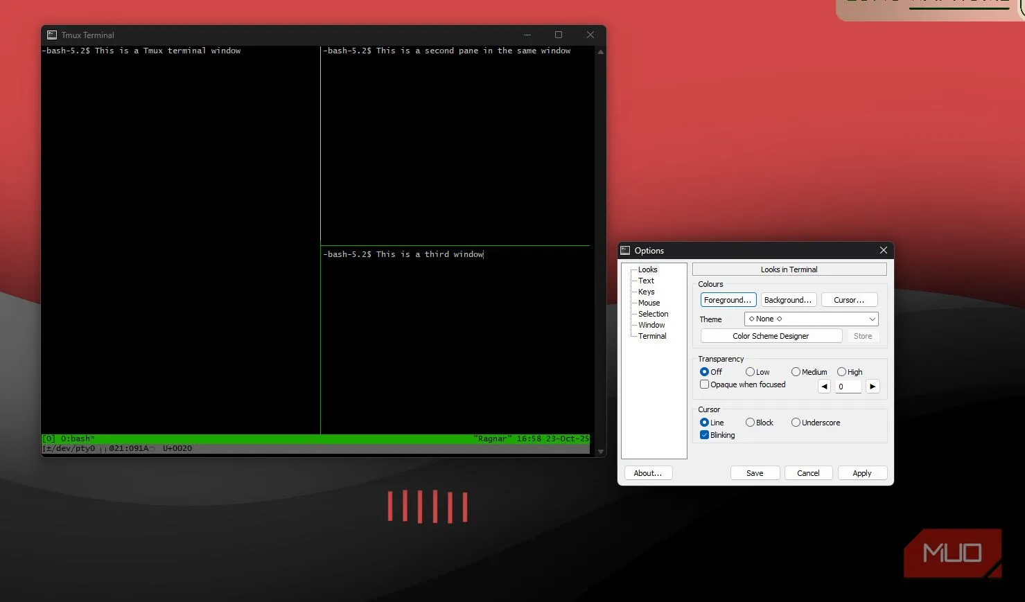 Cửa sổ tùy chọn itmux hiển thị các thiết lập màu sắc và thuộc tính cửa sổ terminal.