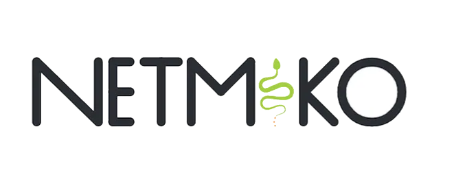 Logo Netmiko trên GitHub, biểu tượng thư viện Python điều khiển SSH
