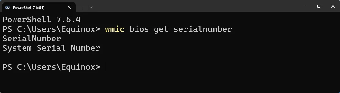 Terminal hiện thông báo không có số serial hiển thị, minh họa lệnh WMIC không trả về mã máy.